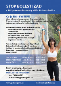 SM systém